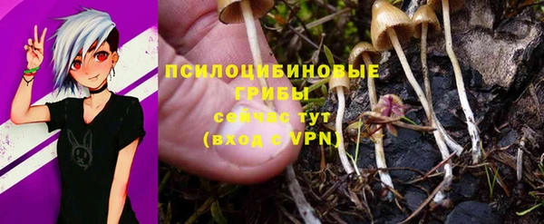 герыч Абаза