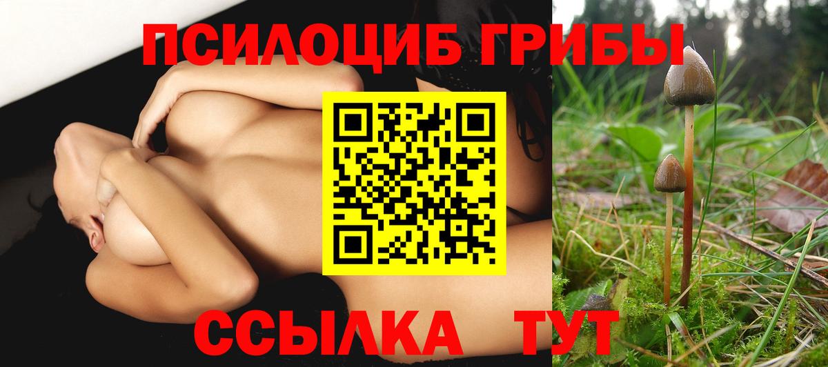 Псилоцибиновые грибы Psilocybine cubensis Благодарный
